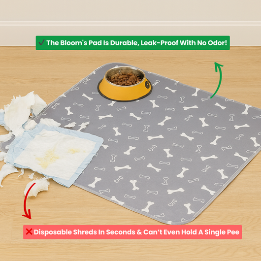 Demo product for 2nd listicle