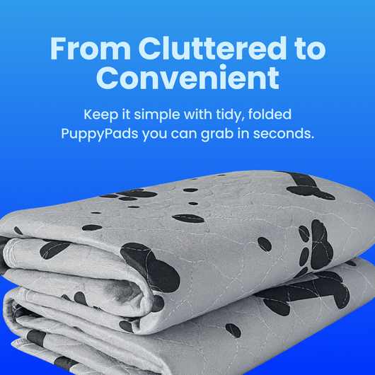 Demo product for 2nd listicle