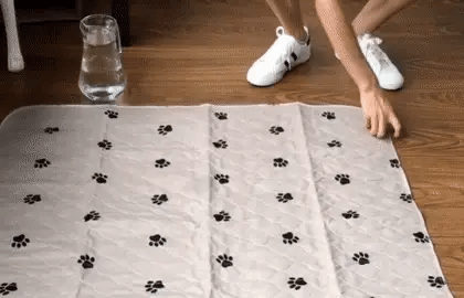 It Holds 4 Full Pees Without Leaking Or Smelling