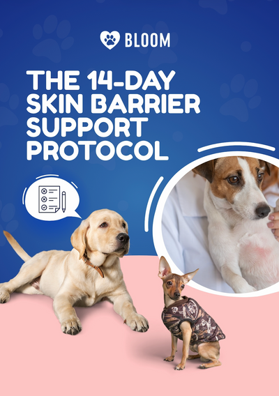 The 14-Day Skin Barrier Support Protocol