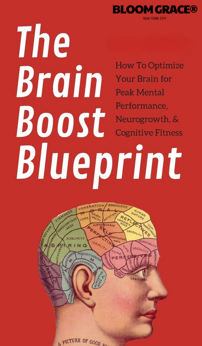 The Brain Boost Blueprint: Unlocking Mental Clarity & Focus Naturally