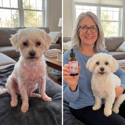 Bloom Triple Collagen